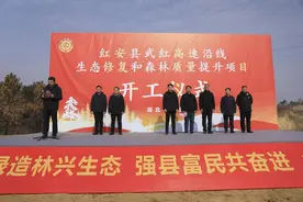 红安县武红高速沿线生态修复和森林质量提升项目开工图片