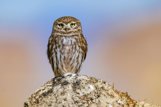 科考旅行｜秘境山南生态考察报名