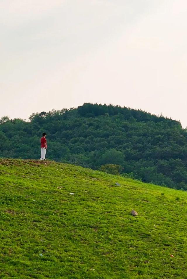绝美出片打卡地！一棵全泰安最孤独的树，就在这里……