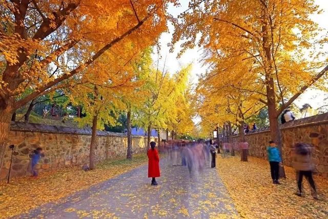 漫谈圆明丨圆明园的秋