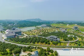 入选全国典型案例，茂名把千年土特产做成百亿大产业图片