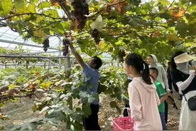 “城市探索嘉”启航！高层次人才家庭共赴亲子研学之旅图片