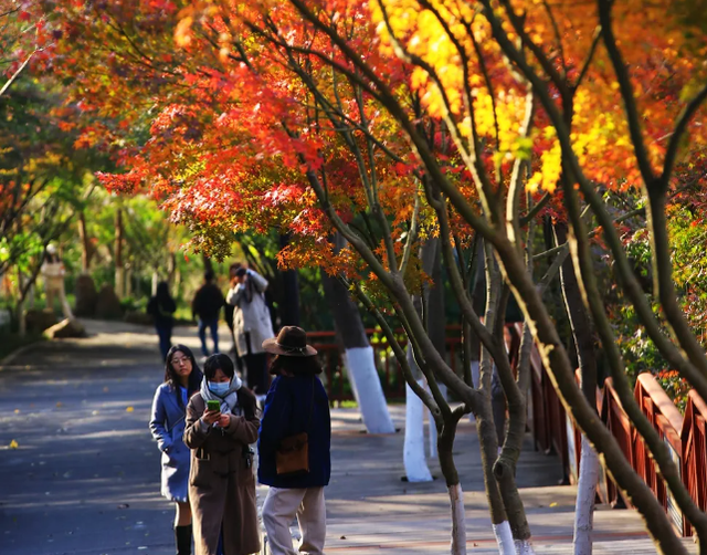 中大路 “红” 了！本周 C 位遛弯地预定！