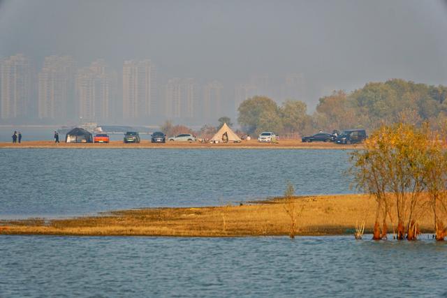 巢湖南岸天灯咀“安营扎寨”成冬日新景