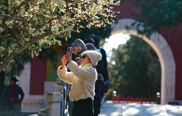 北京卧佛寺：古刹寻梅