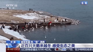 景观上新还附赠出片技巧 冬日限定版赛里木湖邀你打卡