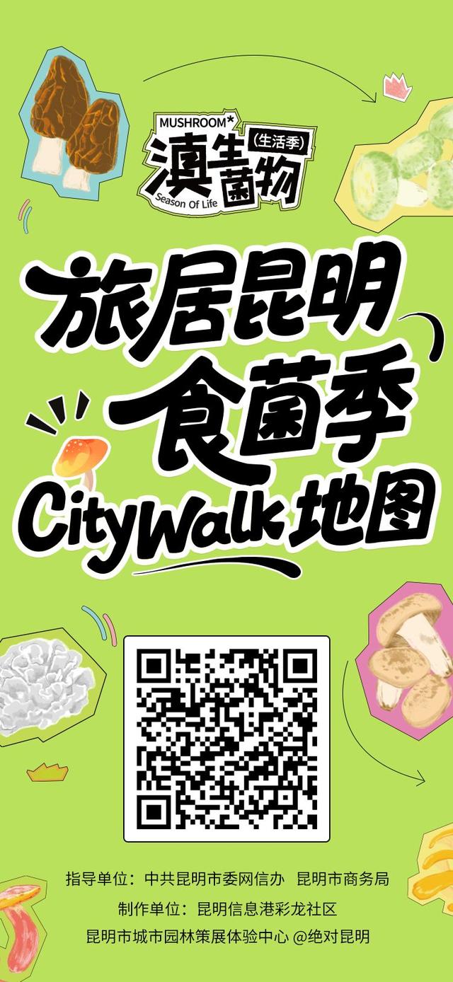 解锁昆明拾菌与旅居新体验——食亦蘑菇君畅谈云南生活新风尚