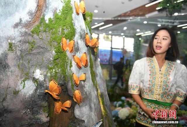 云南金平擦亮两张名片 今年前10月游客逾280万人次