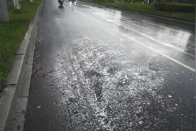 当心！杭州街头大量出现！不少人还捡回家……图片