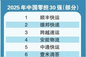中国零担30强 6家豫企上榜 河南企业黑豹物流排第13名图片