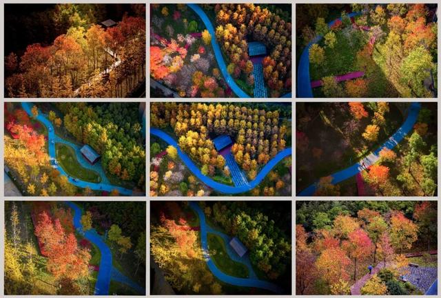 秋冬限定的普陀，美到让人流连忘返，你还不来打卡吗？