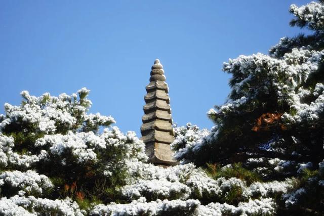 三清山“冰雪皮肤”即将加载完毕！你还不出发？