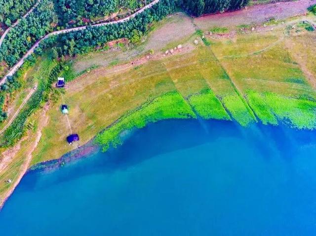 季节限定！洛阳些“海”人少景美，快出发！