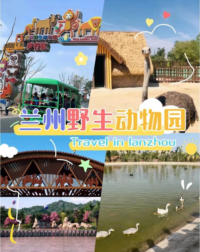 快来报名——“甘味少年行”金昌少年儿童寒假科技生态研学营即将开营啦！