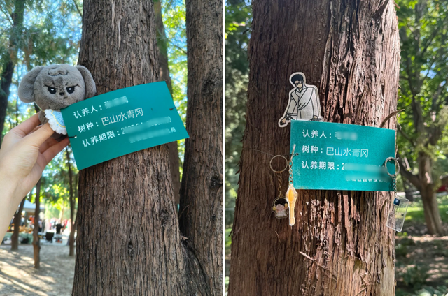 第23届四川光雾山国际红叶节最全攻略请查收！