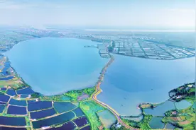 湖北长江三峡地区山水林田湖草生态保护修复工程——枝江市金湖湿地生态修复项目图片