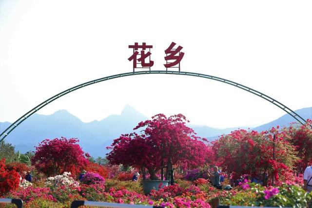 畅游国庆，乐东两条旅游路线推荐