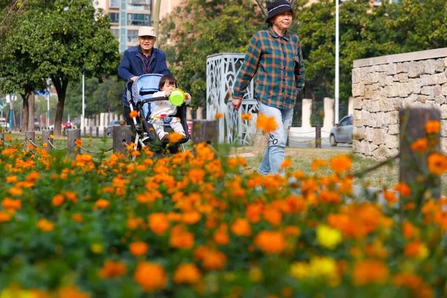 松江这里的健身步道变身金色走廊，快来打卡→