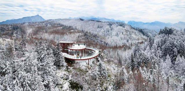 赏冬韵品年味！“宠粉”重庆推出超千场文旅活动邀你过“暖”冬