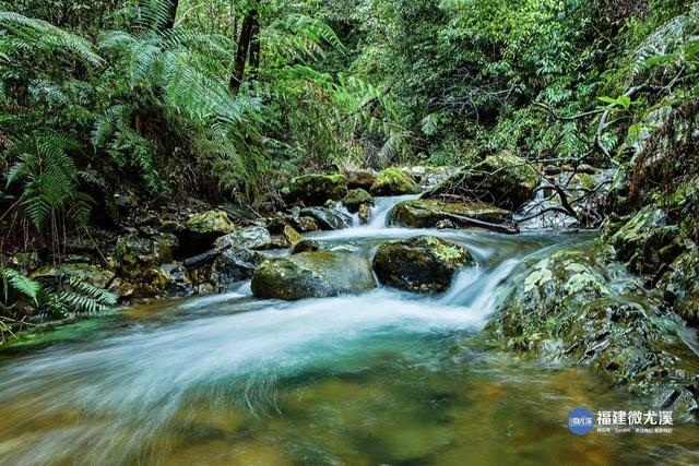 台湾同胞看过来！三明多家A级景区对“首来族”免票，即刻出发～