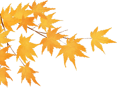 摘甜橙、赏红枫……龙岩初冬玩法上新