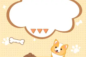 文明养犬怎么做？图片