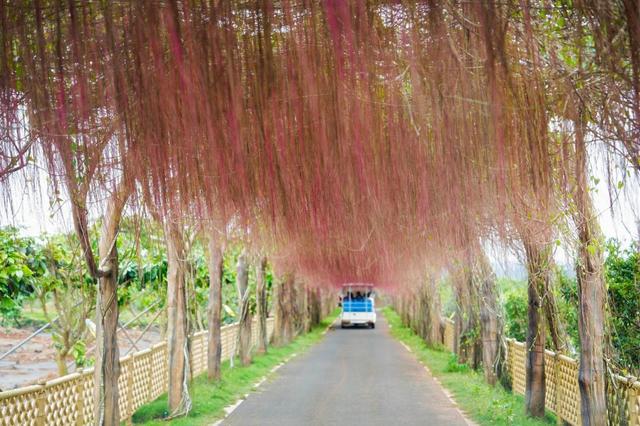 “建功自贸港 劳动筑梦想”2025年度“工会佳缘”单身职工联谊活动收官