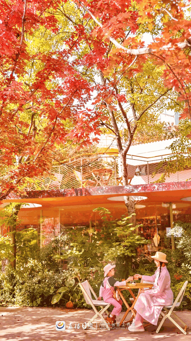 日照，“毛茸茸”！