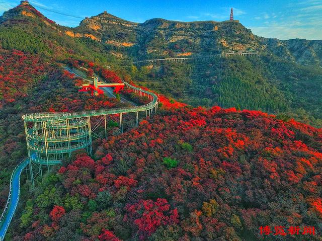 趣味无穷！秋日淄博博山赏红叶，这些打卡地玩法多样超好玩！