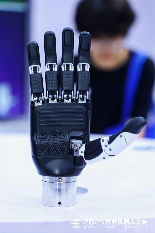 2025世界机器人大会观察：人形机器人销量火爆，可工业机器人巨头仍不下场