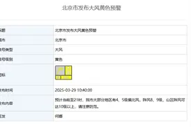 阵风8、9级 北京市发布大风黄色预警图片