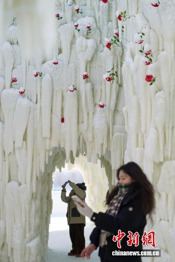 哈尔滨冰雪大世界“玫瑰冰瀑”吸引游客