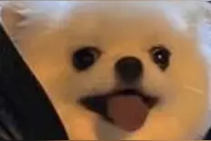 15天内，价格跌了近一半！商家：一天一个价，可能还会跌！图片