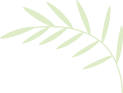 活动招募 | ​夏日研学交流一日游