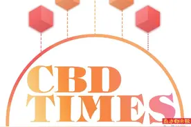 老广口中的“东郊”菜地农田 30余年间蝶变国家级CBD图片