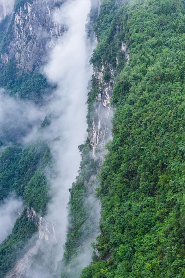 湖北恩施:雨后峡谷似仙境