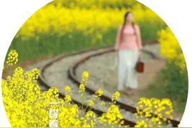 如果不是因为你图片