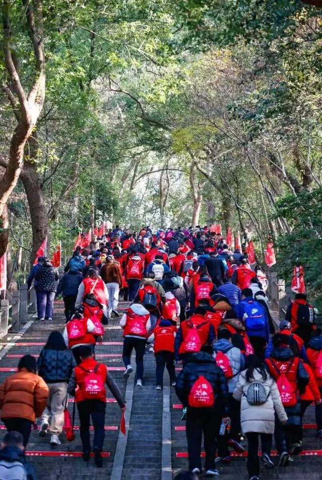 寻找佘山登高“最有故事的你”！二十载光阴，等待你续写篇章