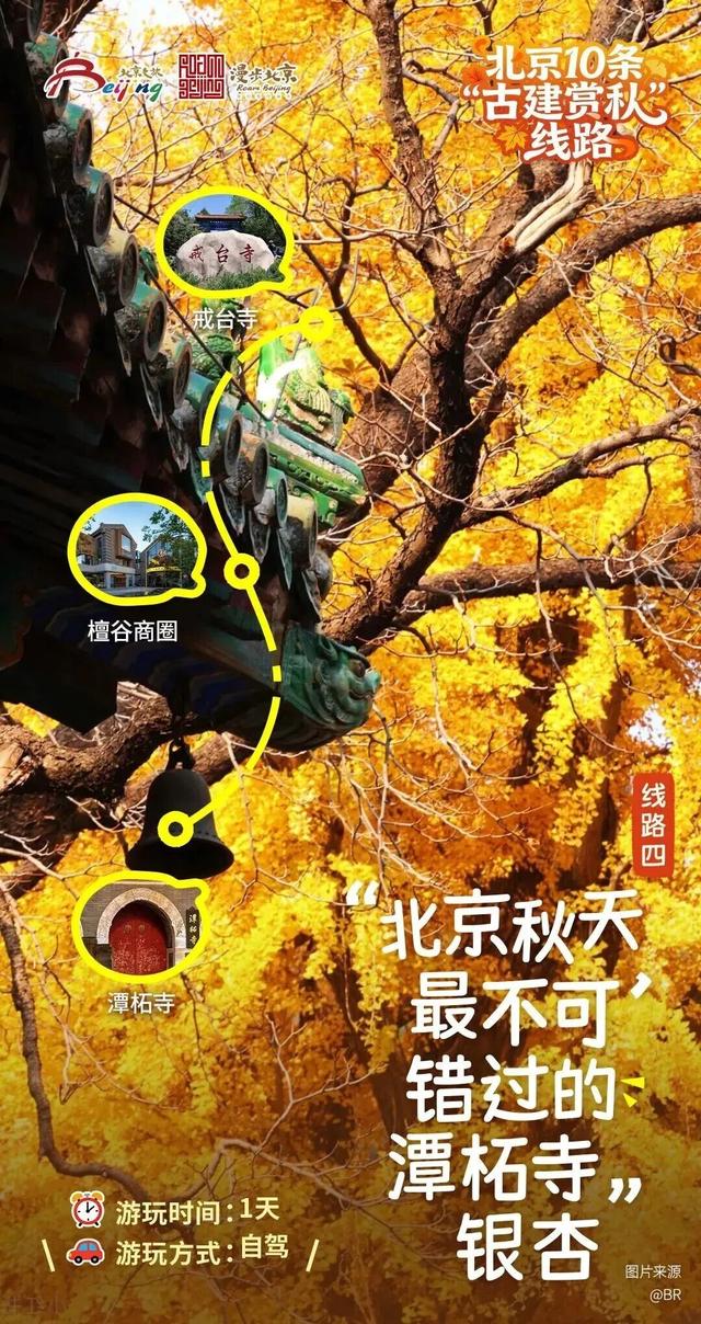 古建赏秋，才是北京的秋日限定