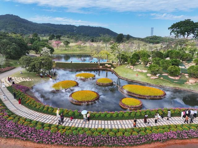 广西南宁：初冬赏花正当时