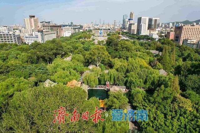一年四季 泉在济南丨错峰旅游正当时，金秋体验更超值