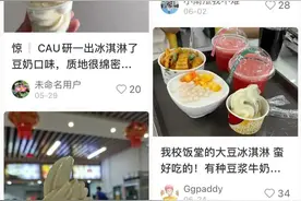 全是“科技与狠活”？高校冰淇淋被夸“巨巨巨好吃”！秘方是……图片