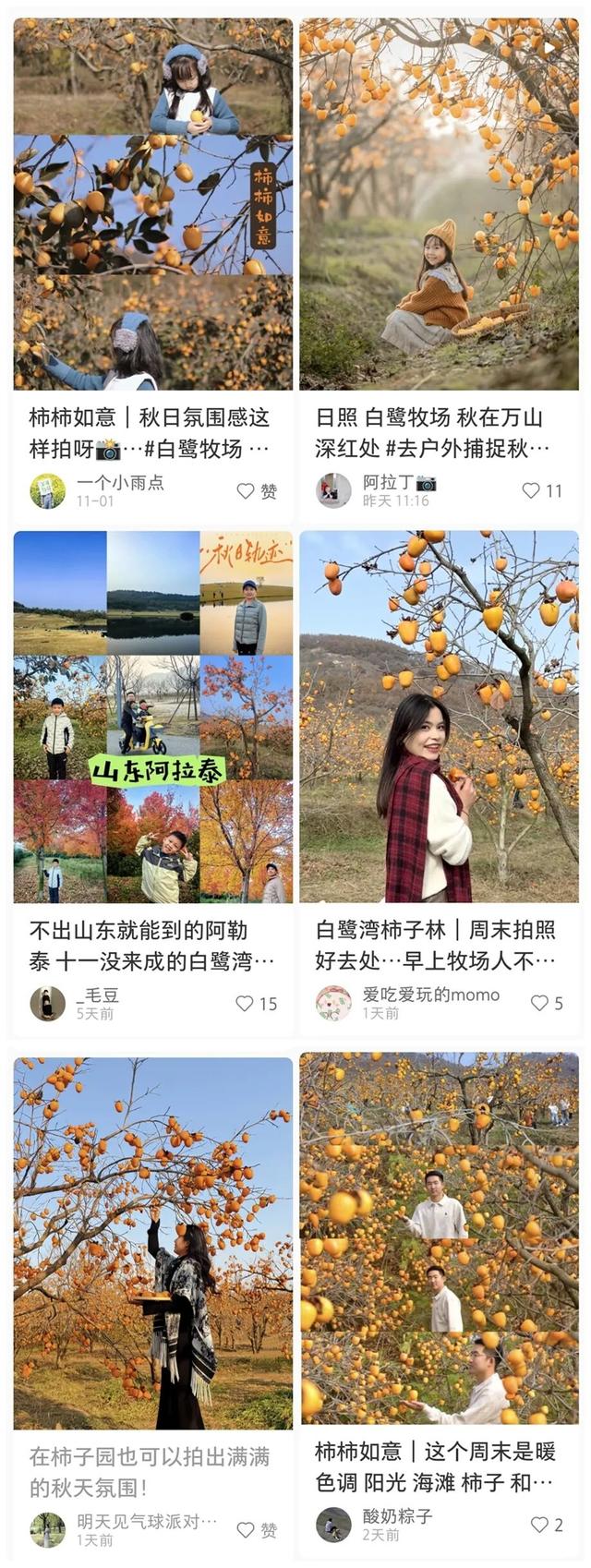 又好吃又好看！日照这里，火成新晋顶流！