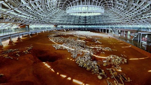 探秘化石王国、寻迹红山古韵，辽宁朝阳来沪推介研学线路
