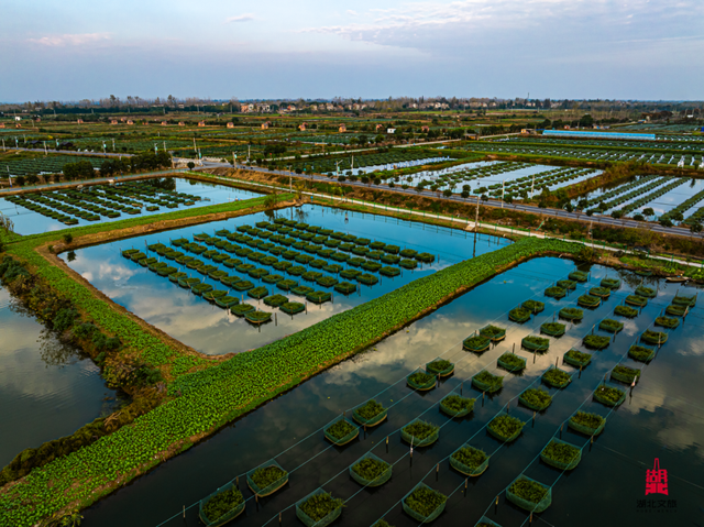 北北亲测！仙桃够味！福利加倍！