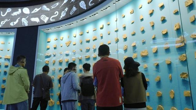 抚仙湖畔诗意栖居 化石博物馆对话寒武纪