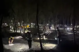 提桶抓、熬夜抓，有人一晚上抓几百只！“知了猴”为啥这么抢手？🤔图片