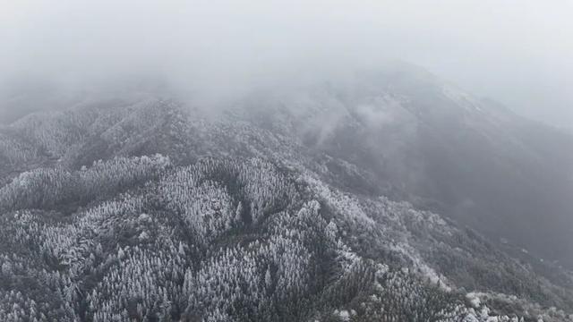 多图直击融水雾凇美景