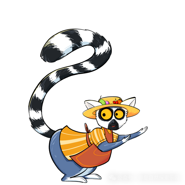 内含福利！江宁这个主题乐园月底开放→