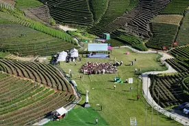 把音乐会开进茶园，这是杭州转塘独有的浪漫图片